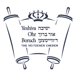 Ohr Baruch Blue Logo